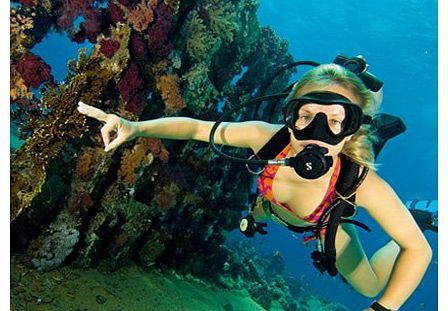 OCEAN College PADI Scuba Dive Course - 2 Days