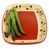 olive s Large Rectangular platter.