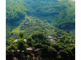 One Day Trekking - Chiang Rai - Child (Staying