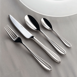 oneida Fusion Table Spoon