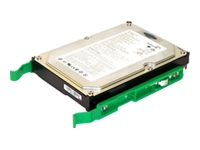 origin Storage hard drive - 250 GB