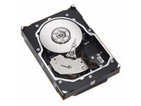 HDD 146GB 15K SCA