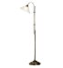 Adjustable Task Floor Lamp