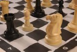 OXFORDLEISURE GARDEN CHESS GAME