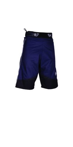 Gradient Shorts