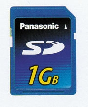 PANASONIC RPSDH1GE