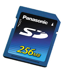 PANASONIC RPSDH256E