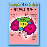 The Male Brain