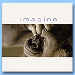 Imagine