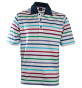 Paul and Shark White Stripe Polo Shirt