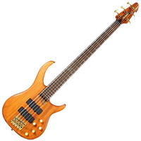 Peavey Cirrus 5 Bolt On 5-String Bass Guitar