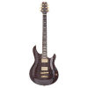 Peavey HP SIGNATURE EXP BLACK ELECTRIC GUITAR (UK)