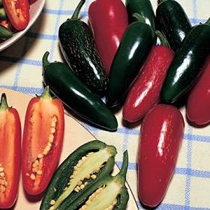 Chili Jalapeno Summer Heat Seeds