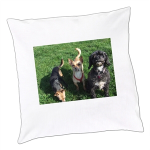 Photo Cushion Cover