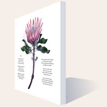 Poem Flower Canvas