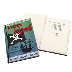 Treasure Island Novel