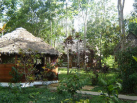 eco lodge in the Amazon rainforest