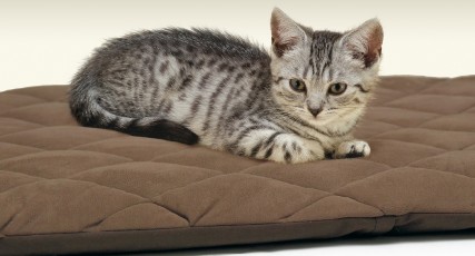 Pet Life Flectabed Q Brown