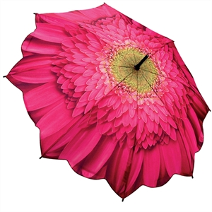 Gerbera Ladies Umbrella