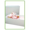 Kitten Furry Friends Gift Box