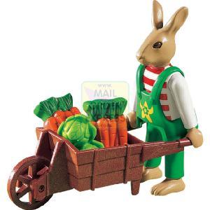 Bunny and Wheelbarrow