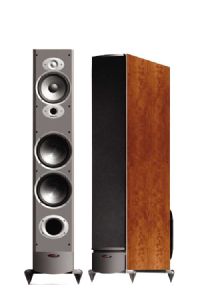 Polk Audio RTi10 Floorstanding Speakers - Black Oak