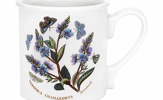 Botanic Garden Mug, 0.26L, Speedwell