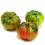 Costoluto Tomato