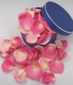 Post-a-Rose Fresh Pink Rose Petals