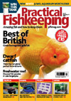 Practical Fishkeeping 6 Months Direct Debit  