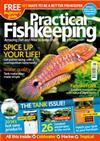 Practical Fishkeeping Six Monthly Direct Debit  