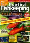 Practical Fishkeeping Six Months By Credit/Debit