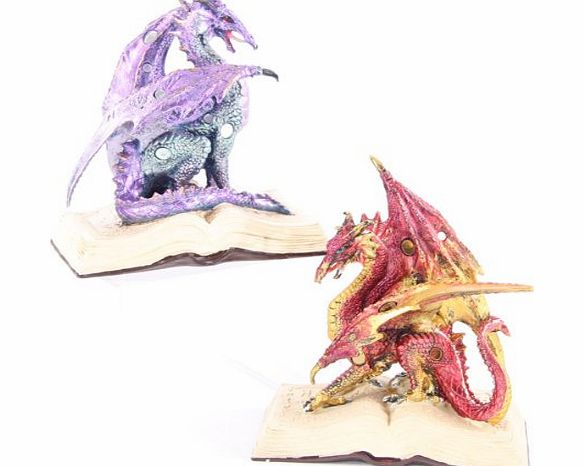 Puckator Geo Dragon Sat on Book