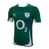 Adult Replica Ireland International Rugby