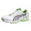 PUMA Ballistic Half Spike Adult Cricket Shoes