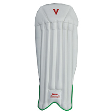 Puma Elite Pro Icon Wicket keeping pads