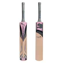 Puma Evolution 4000 Youth Harrow Cricket Bat