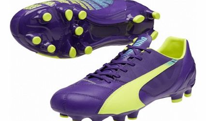 Puma evoSPEED 3.3 FG Mens Football Boot