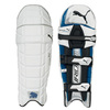 PUMA Iridium 5000 Batting Pads