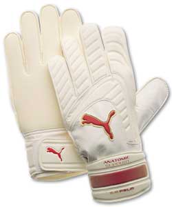 Mestre Goalkeepers Glove