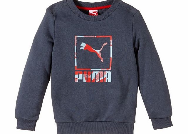 Puma TD Crew Boys Sweatshirt blue Ombre Blue Size:13 years