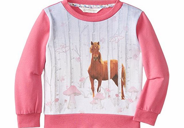 Pumpkin Patch Girls Fairytale Sweatshirt, Pink (Wild Orchid), 3 Years