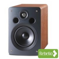 Q Acoustics 1020 Cherry