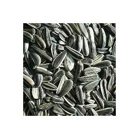 Quality Black Sunflower Seed - 12.5kg