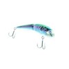 Quantum : Peter Bledran 11cm Rainbow Trout Wobbler