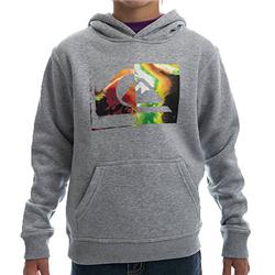 Boys Shadow Hoody - Grey Heather