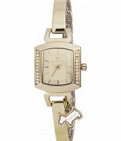 Radley Ladies Polished Pale Hamilton Gold Steel