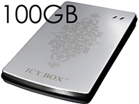 RaidSonic 100GB USB2.0 2.5 Ext Stainless Steel Hard Drive