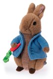 Rainbow Designs Wind-up Musical Peter Rabbit