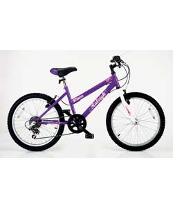 20 inch Dream Girls Bike